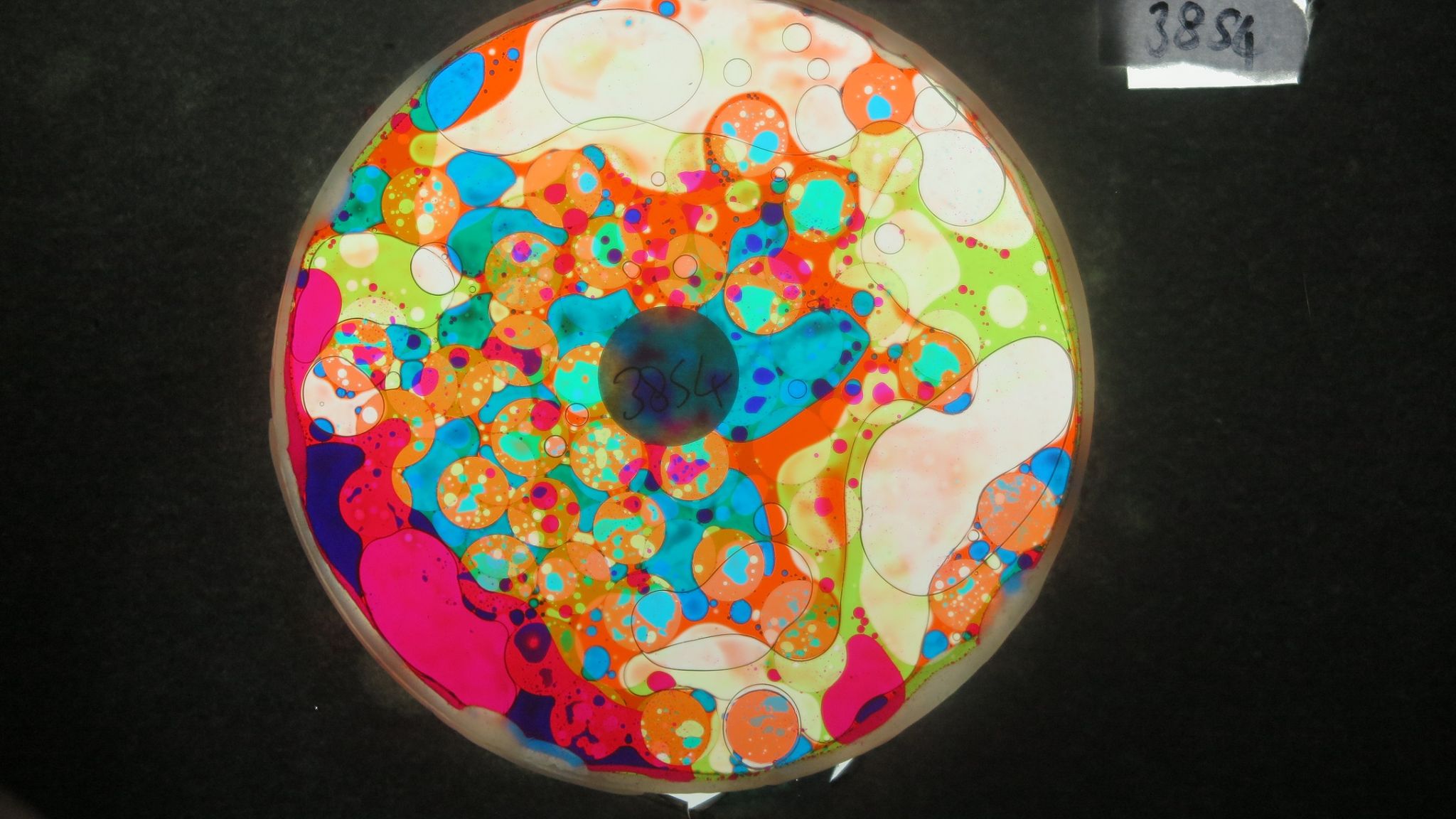 BV3854 bubble vision oil wheel